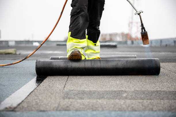 Best Chimney Flashing Repair  in Raymond, WI